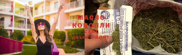 молекула духа Каменка