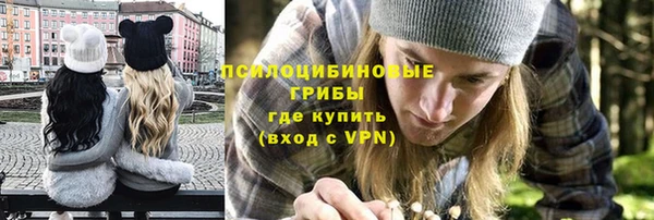 крисы Алексеевка