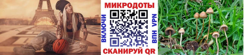 Псилоцибиновые грибы Psilocybe  Мичуринск 