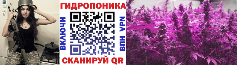 Шишки марихуана конопля  мега ССЫЛКА  Мичуринск  купить  цена 